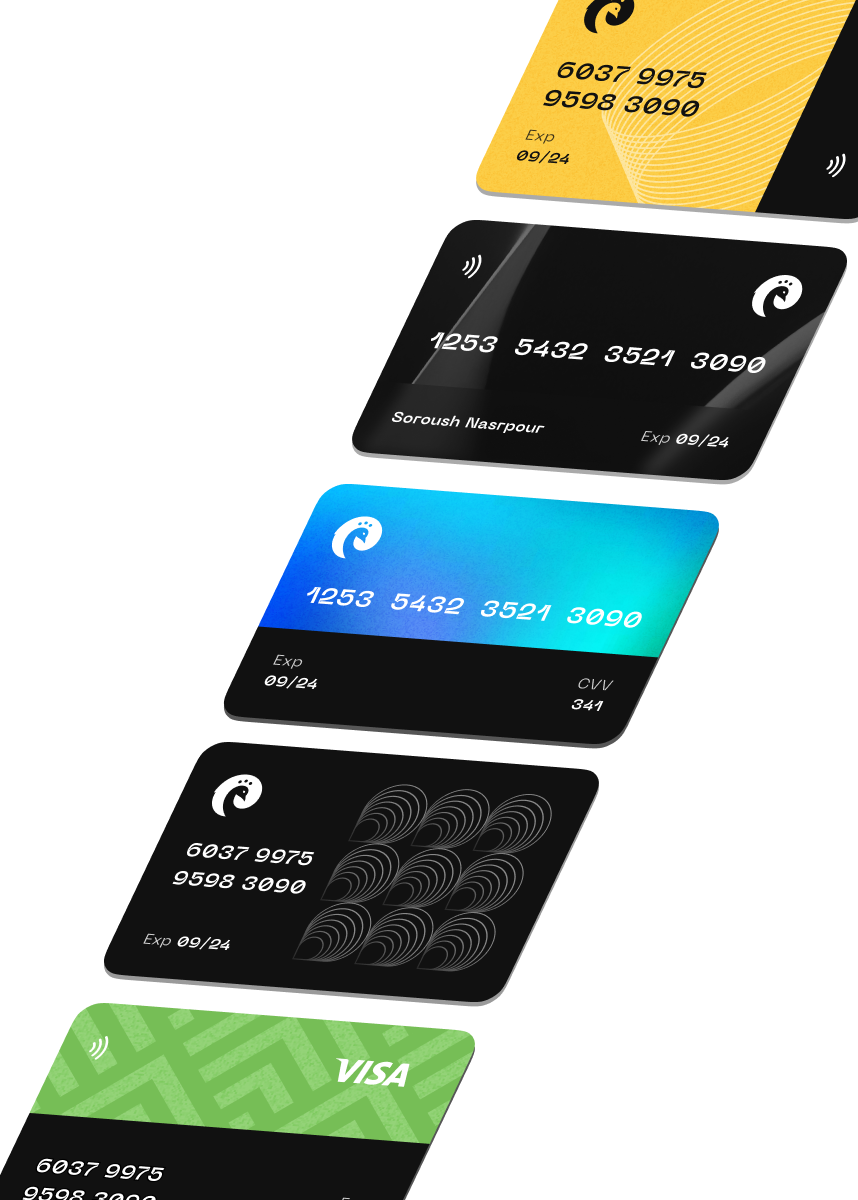 Übersicht der von Future Payments akzeptierten Kreditkarten
